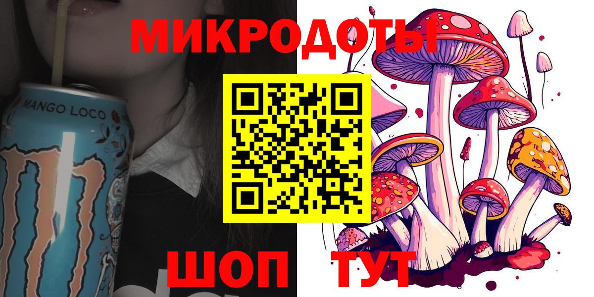 Псилоцибиновые грибы Psilocybe  Вход с VPN  Ростов Великий  Псилоцибиновые грибы мицелий 