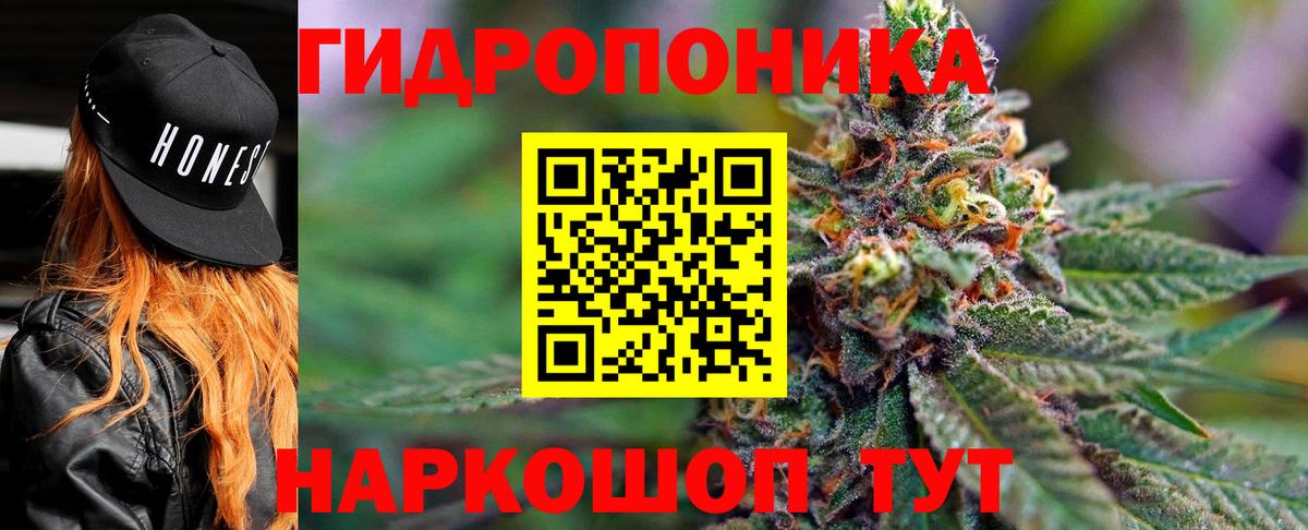 Канабис гибрид Ростов Великий